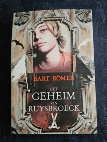 Bart Römer - Het geheim van Ruysbroeck beschikbaar voor biedingen