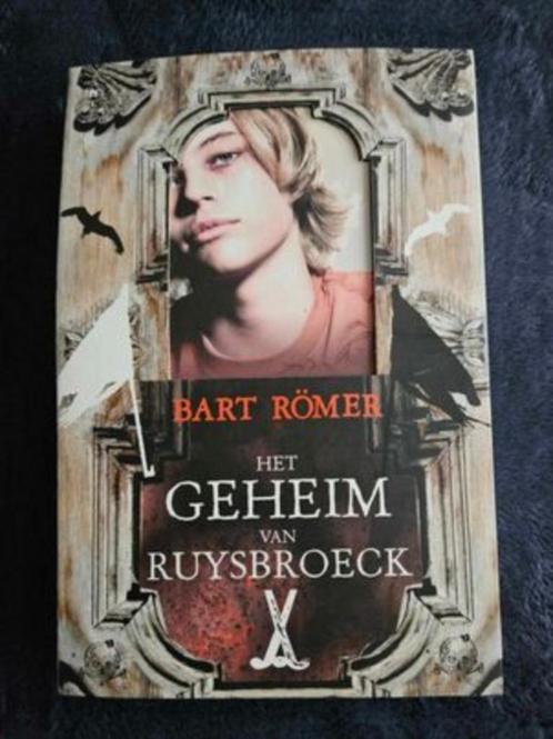 Bart Römer - Het geheim van Ruysbroeck, Boeken, Kinderboeken | Jeugd | 13 jaar en ouder, Gelezen, Fictie, Ophalen of Verzenden