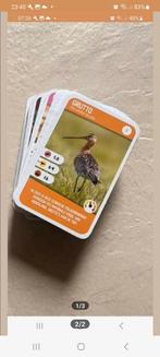 Dieren laten van zich horen complete set plaatjes, Albert Heijn, Ophalen of Verzenden