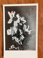 Oude zwart-wit ansichtkaart met bloemen, Ophalen of Verzenden, 1940 tot 1960, Ongelopen, Natuur