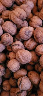 Lekkere walnoten jaar 2025, Ophalen