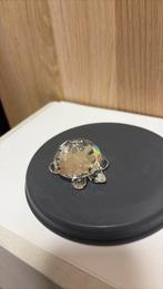 Schildpad groot, Ophalen of Verzenden, Zo goed als nieuw, Figuurtje