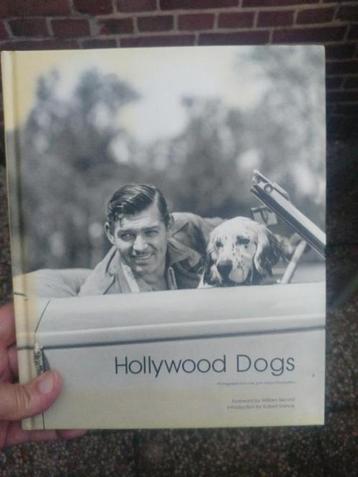 Hollywood Dogs (foto's van de John Kobai Foundation) 2013