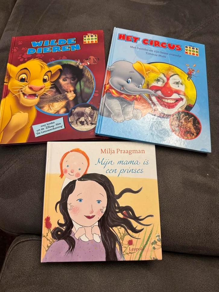 4 Leuke Kinderboeken, Boeken, Kinderboeken | Jeugd | onder 10 jaar, Gelezen, Fictie algemeen, Ophalen