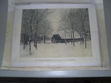 foto beschikbaar voor biedingen