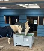 Fijne volpension-plek aangeboden, Dieren en Toebehoren, Stalling en Weidegang, Stalling, 1 paard of pony