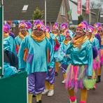 Carnavalskostuum Papegaai/Vogel - Loopgroep - 25 stuks, Kleding | Dames, Carnavalskleding en Feestkleding, Maat 38/40 (M), Carnaval