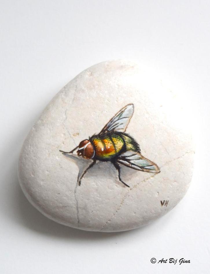 knappe vlieg hand geschilderd op een lichte riviersteen, Antiek en Kunst, Kunst | Overige Kunst, Ophalen of Verzenden