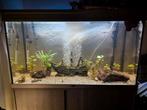 Aquarium Aqualantis 1030x600x440 + Toebehoren, Dieren en Toebehoren, Vissen | Aquaria en Toebehoren, Ophalen, Zo goed als nieuw