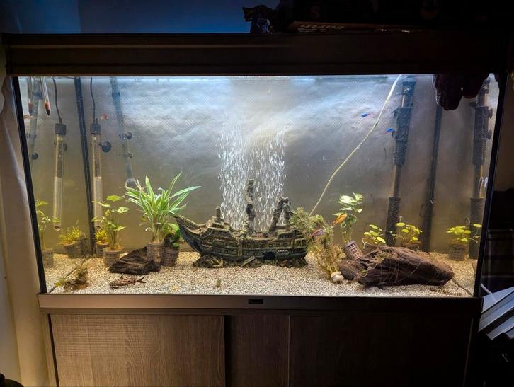 Aquarium Aqualantis 1030x600x440 + Toebehoren, Dieren en Toebehoren, Vissen | Aquaria en Toebehoren, Zo goed als nieuw, Gevuld zoetwateraquarium