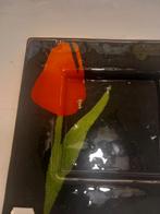 Nieuwe schaal tulp glas, Ophalen of Verzenden