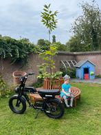 Fatbike agm 250, Ophalen, Zo goed als nieuw, 50 km per accu of meer, Overige merken