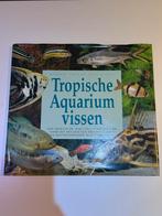 Tropische aquarium vissen, Ophalen, Zo goed als nieuw, Vissen
