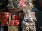 Partij Kerst Jasjes - Diverse Maten, Ophalen, Nieuw, Kerstmis of Sinterklaas, Kleding