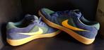 Nike dunk SB low, Kleding | Heren, Schoenen, Overige kleuren, Nike, Ophalen of Verzenden, Zo goed als nieuw