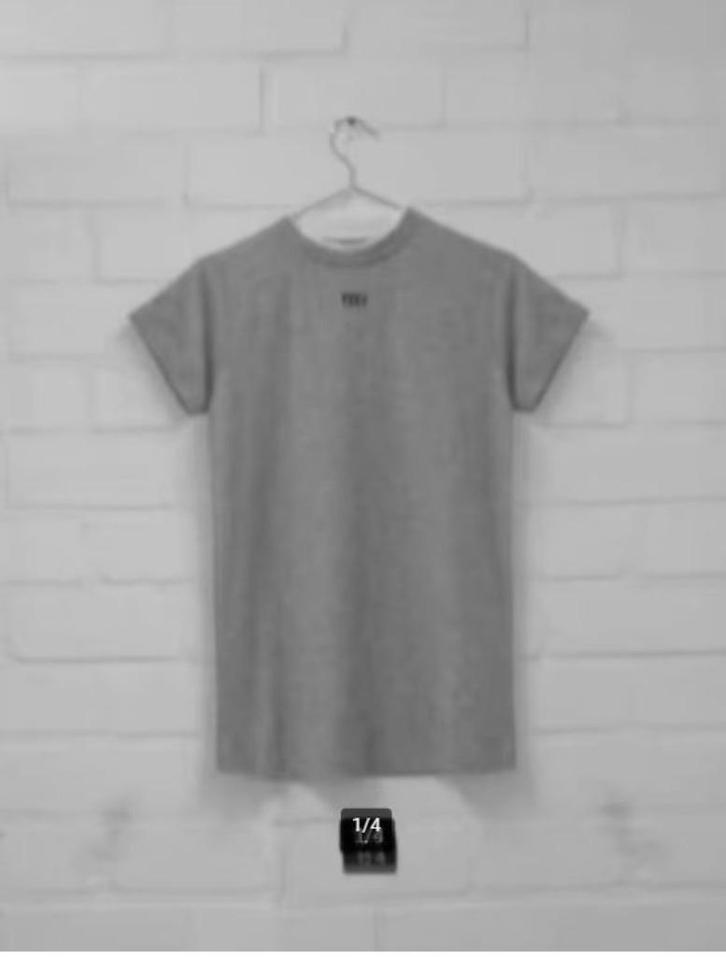 YZLS - Yeez Louise - Prachtig tshirt maat S - Nieuw €60, Kleding | Dames, T-shirts, Nieuw, Maat 36 (S), Grijs, Korte mouw, Ophalen of Verzenden