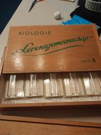Biologie stempels "levensgemeenschappen" doos 3 en 6. Prijs, Ophalen of Verzenden, Gebruikt, Clearstamp