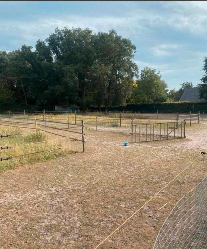 Pension stalling pony's, Dieren en Toebehoren, Stalling en Weidegang, Stalling