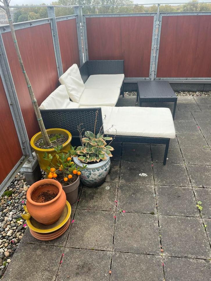 VidaXL Loungebank met Tafel & Kussens, Tuin en Terras, Tuinsets en Loungesets, Gebruikt, Loungeset, Wicker, 3 zitplaatsen, Bank