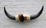 Texas style BULLBAR- 67 cm - afgewerkt met koeienvel en touw