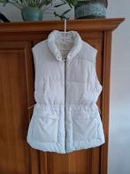 Witte bodywarmer, Rainbow, Wit, Maat 46/48 (XL) of groter, Ophalen of Verzenden