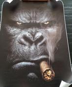 Canvas van een rokende gorilla, Ophalen of Verzenden