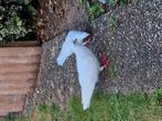 4 witte sierduifjes afstamming figuritas, Dieren en Toebehoren, Pluimvee, Meerdere dieren, Eend