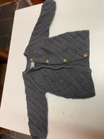 Grijs vestje Primark maat 80, Kinderen en Baby's, Babykleding | Maat 80, Ophalen of Verzenden, Zo goed als nieuw, Jongetje of Meisje