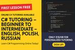 C# Programming Private Tutor – Beginner to Intermediate, Eng, Privéles, Bijles