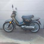 Honda Wallaroo Deluxe, Fietsen en Brommers, Brommers | Honda, Ophalen, Gebruikt, Overige modellen, 50 cc