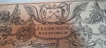 Oude kaart Leiden 1675 beschikbaar voor biedingen
