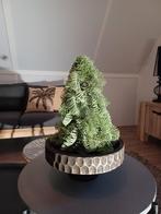 Mooi zwart plateau met kunst kerststuk incl lamp, Diversen, Kerst, Ophalen of Verzenden