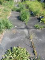 Gratis rubber stalmatten, Dieren en Toebehoren, Paarden en Pony's | Overige Paardenspullen, Ophalen, Gebruikt, Overige soorten