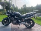Honda CB 900 F Hornet, Motoren, Motoren | Honda, 4 cilinders, Particulier, Meer dan 35 kW, 919 cc