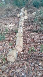 Vurenhout, Tuin en Terras, Haardhout, Minder dan 3 m³, Ophalen, Overige houtsoorten, Blokken