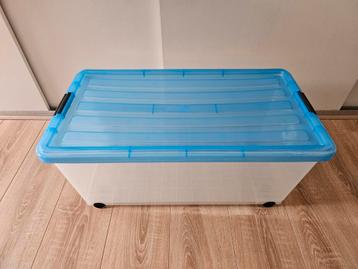 Rollerbox op wielen - Iris beschikbaar voor biedingen