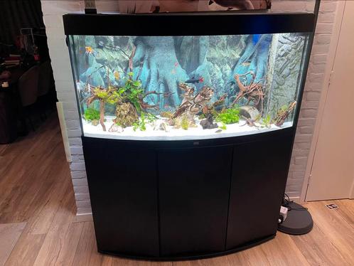 Jewel Vision 260 aquarium compleet, Dieren en Toebehoren, Vissen | Aquaria en Toebehoren, Zo goed als nieuw, Gevuld zoetwateraquarium