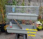 Cavia kooi 2 verdiepingen, Dieren en Toebehoren, Knaagdieren en Konijnen | Hokken en Kooien, Ophalen, Kooi, Gebruikt, 90 cm of meer