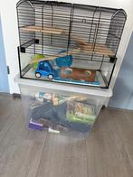 hamsterkooi, Dieren en Toebehoren, Ophalen, Zo goed als nieuw