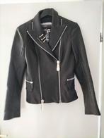 Zwarte leren jack Philipp Plein, maat M, Maat 38/40 (M), Zwart, Nieuw, Ophalen of Verzenden