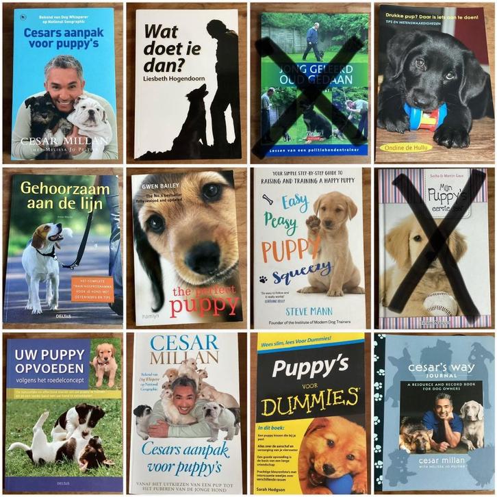 Puppy opvoeding hond 3 halen = 2 betalen, Boeken, Dieren en Huisdieren, Zo goed als nieuw, Honden, Ophalen of Verzenden