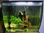 Fluval flex aquarium zwart 57 liter, Ophalen, Zo goed als nieuw, Leeg aquarium