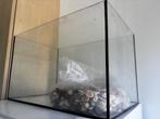 Vis tank + stenen, Dieren en Toebehoren, Vissen | Aquariumvissen, Overige typen, Zoetwatervis