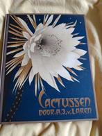 Cactussen door A.J. van Laren - 1931, Ophalen of Verzenden, A.J. van Laren