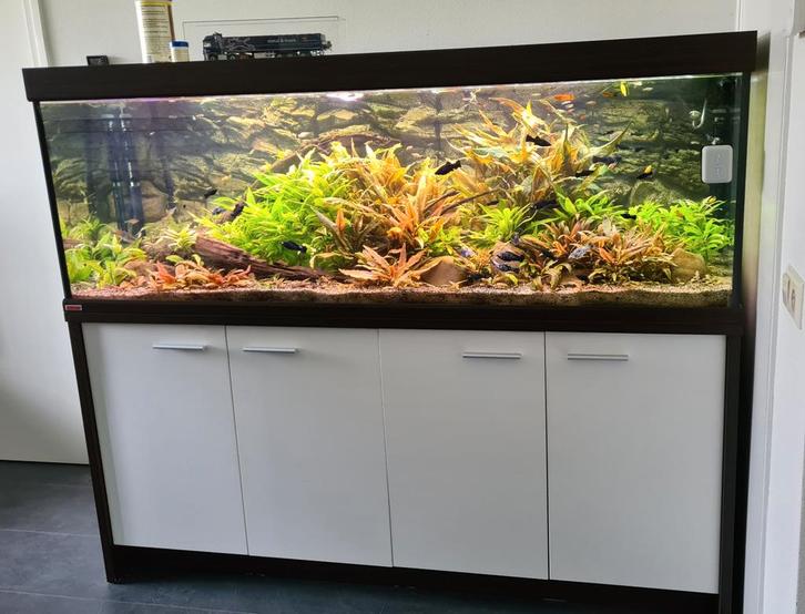 Eheim Aquarium, Dieren en Toebehoren, Vissen | Aquaria en Toebehoren, Ophalen