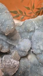 Prachtig Stuk Chalcedoon, Ophalen of Verzenden, Mineraal