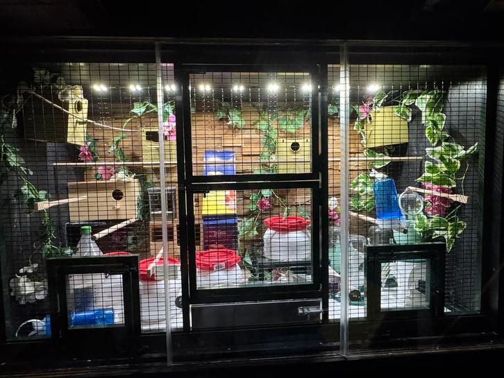 Super mooie complete vluchtkooi, Dieren en Toebehoren, Vogels | Hokken en Kooien, Zo goed als nieuw, Vogelkooi, Aluminium, Ophalen