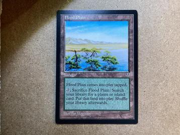 1x Flood Plain (Near Mint) beschikbaar voor biedingen