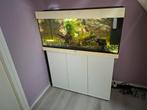 Witte juwel rio 180, Ophalen, Zo goed als nieuw, Gevuld zoetwateraquarium