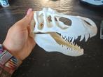 3D Geprinte T-Rex Schedel - Deco/Terrarium, Ophalen of Verzenden, Nieuw, Overige typen